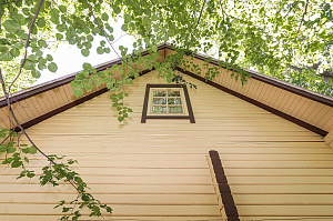 Элегантное обновление деревянных построек в Луговом: профессиональная покраска и защита от Лесобиржи-Спб