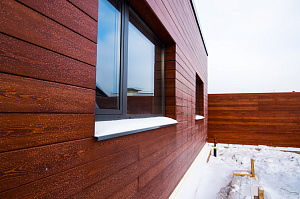 планкен сорт экстра