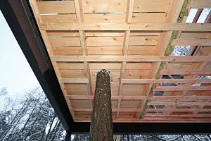 Уникальные всесезонные домики на дереве в LESO Парке