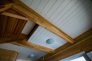 вагонка из ангарской сосны крашеная