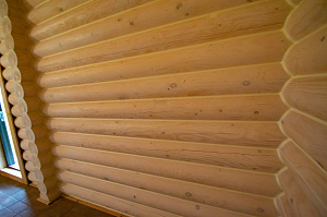 крашеные стены из бревна