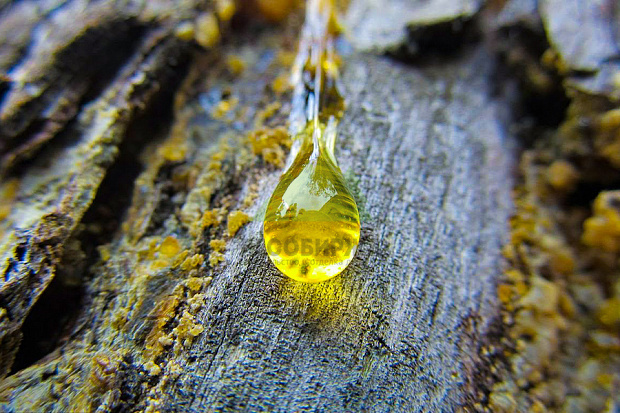 Урок 3. Что такое полимеризация смол и чем этот процесс опасен для покраски?