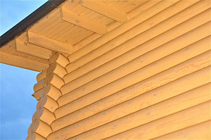 крашеное бревно