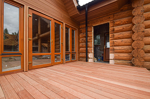 Кемпас — дерево, которое не боится ничего: экзотика с характером на вашей террасе