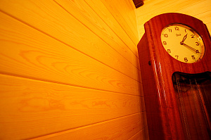 вагонка ангарская