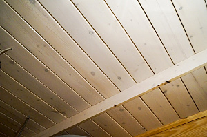 Лиственница в сорте АВ