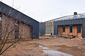 Идеальное решение для нашего климата: термоясень, не боящийся влаги и перепадов температур