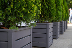 Изящные деревянные кашпо от Лесобиржи-СПб: столярное мастерство для знаковых проектов