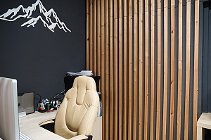 Проект зонирования мастерской в Ропшинский квартал 3: функциональные реечные системы из хвои от Лесобиржа-Спб