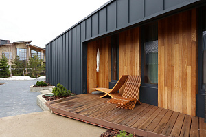 Идеальное решение для нашего климата: термоясень, не боящийся влаги и перепадов температур