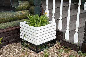 Баня мечты в Бобровом: комплексная отделка и покраска сруба