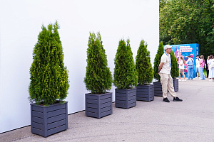 Изящные деревянные кашпо от Лесобиржи-СПб: столярное мастерство для знаковых проектов