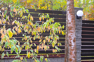 монтаж планкена