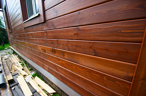 двухэтажный дом из планкена