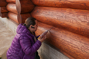 Шестифакторная защита и идеальная гладкость: премиальная покраска бревенчатого дома от ЛесоБиржи - СПб