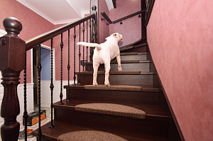 Забежные ступени, кованые балясины и ясень: история одной лестницы, рожденной в содружестве с клиентом