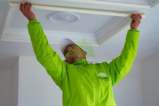 Вагонка внутри дома в Санкт-Петербурге — без гвоздей и компромиссов: профили «штиль» и «евро», скрытый крепёж и долговечная покраска