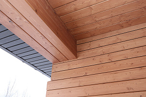 Северная сосна + премиальное масло Renner M300: идеальный дуэт для фасада, который сохранит цвет и форму даже в петербургском климате