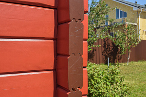 Вишневый фасад и темно-коричневые акценты: история преображения целого участка в Ленинградской области