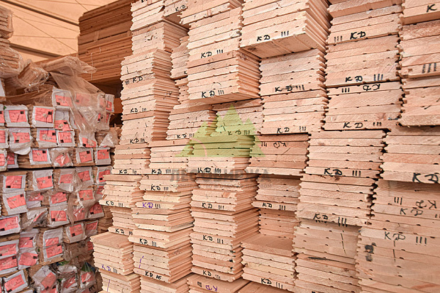 Вагонка с запахом хвои: кедр, лиственница или ангарская сосна?