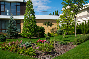 ландшафтный дизайн