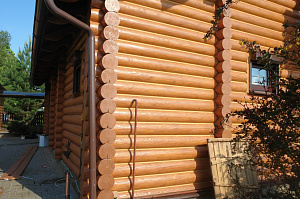 Покраска торцов бревна