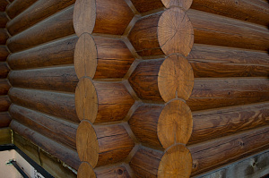 дом крашенный маслом