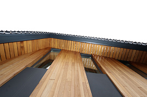 Идеальное решение для нашего климата: термоясень, не боящийся влаги и перепадов температур