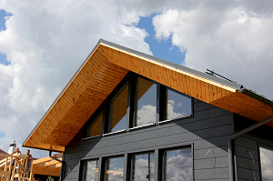 покраска загородного дома