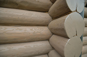 Сруб покрашенный маслом