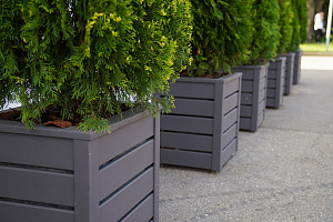 Изящные деревянные кашпо от Лесобиржи-СПб: столярное мастерство для знаковых проектов