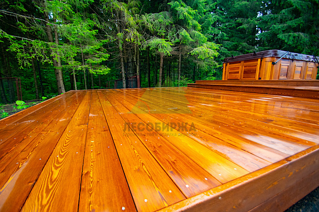 Как защитить лиственницу: рабочие схемы для северо-западного климата без мифов и компромиссов