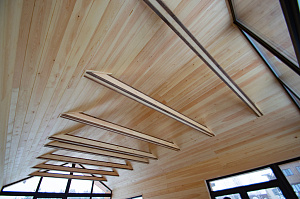 потолок из ангарской сосны
