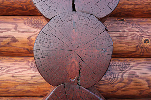 Шестифакторная защита и идеальная гладкость: премиальная покраска бревенчатого дома от ЛесоБиржи - СПб