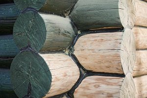 Баня мечты в Бобровом: комплексная отделка и покраска сруба