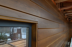 фасад из планкена