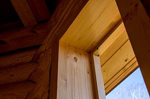 деревянные осады для дома