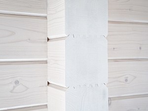 Внутренняя гармония: безупречная покраска брусового дома лазурью Renner в ДНП Деревенька от Лесобиржа-Спб