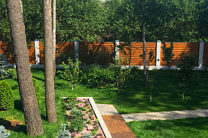 забор из дерева