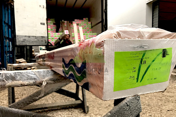 Косой планкен: фото фасадов, которые выглядят дороже своего бюджета