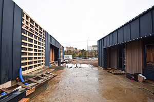 Идеальное решение для нашего климата: термоясень, не боящийся влаги и перепадов температур