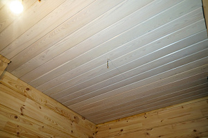 Планкен крашеный