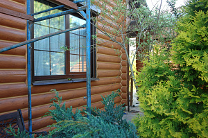 Покраска сруба