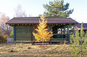 Баня мечты в Бобровом: комплексная отделка и покраска сруба