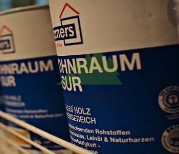 Покраска деревянного дома внутри