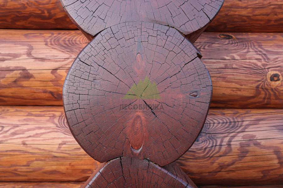 Торцы бревна Торцы бревна