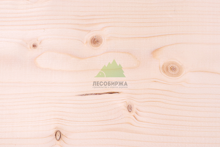 Микротрещина на древесине smolyanoj-karman-u-drevesiny.jpg