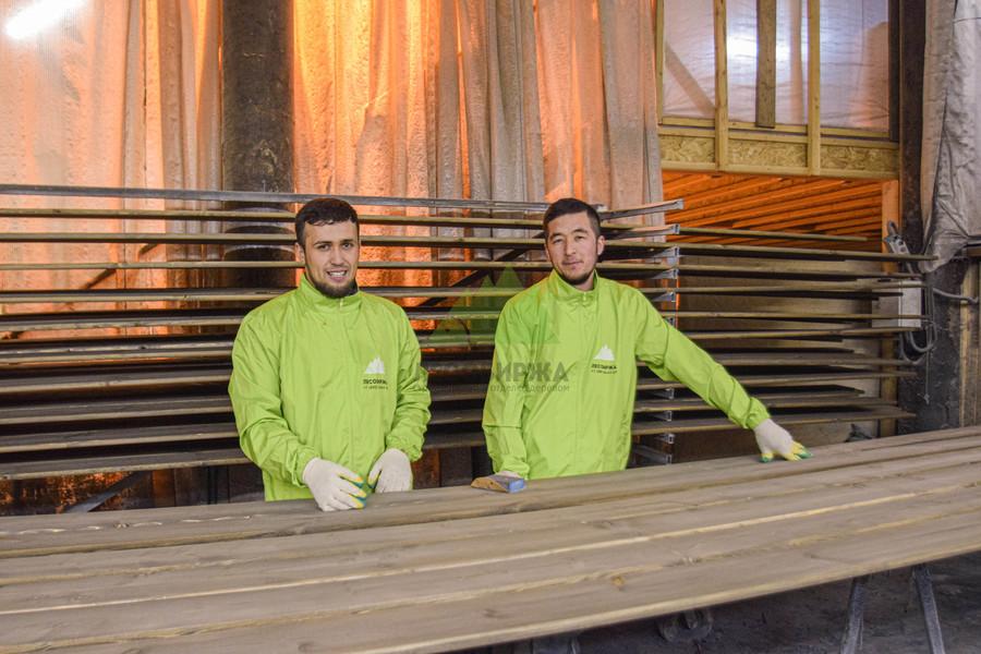 Наши специалисты-маляры