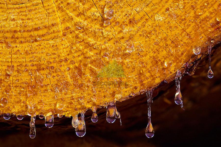 полимиризованная смола