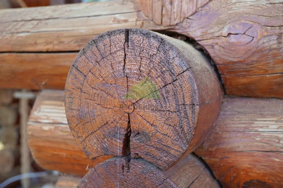 Растрескивание бревна в ходе длительного воздействия атмосферных явлений и отсутствия ежегодного ухода rastreskivanie-brevna-v-hode-usushki.jpg